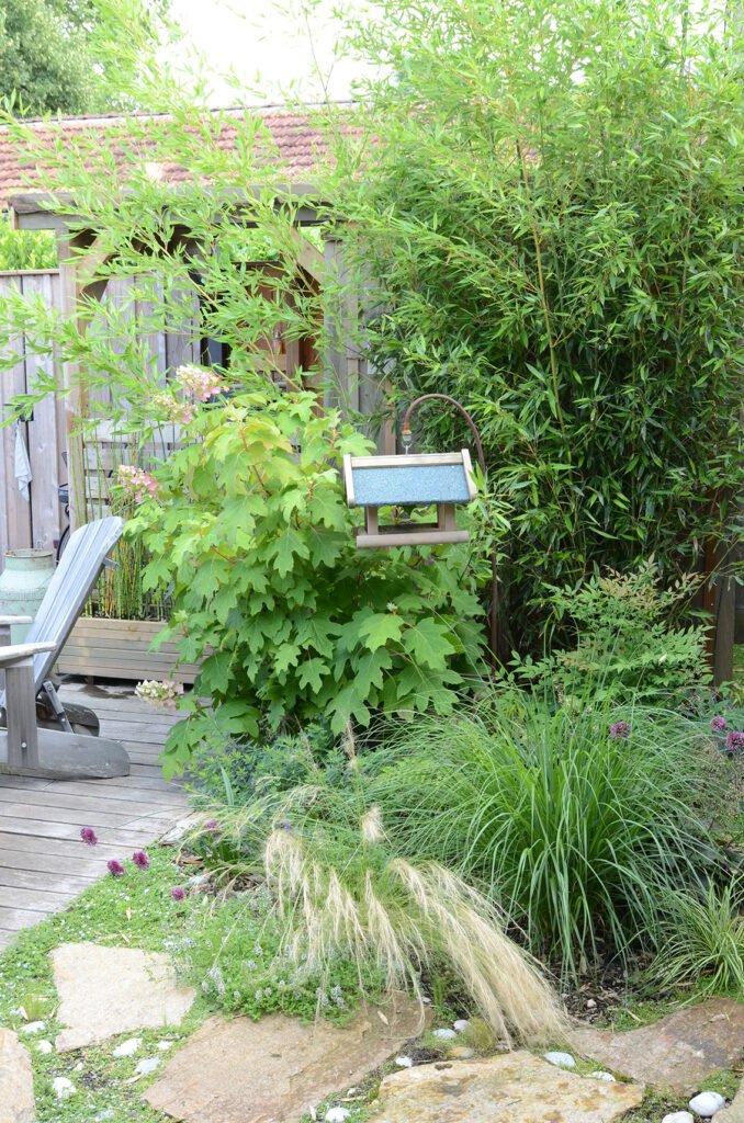 Coin de jardin planté, ambiance naturelle
